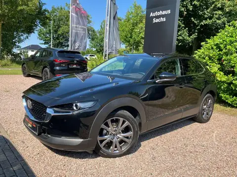 Annonce MAZDA CX-30 Essence 2020 d'occasion 