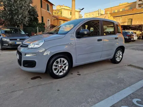 Annonce FIAT PANDA Hybride 2021 d'occasion 