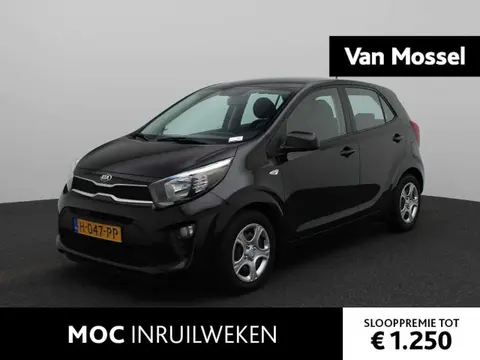 Used KIA PICANTO Petrol 2020 Ad 