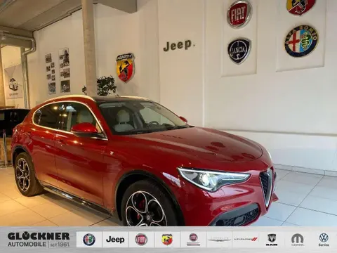 Used ALFA ROMEO STELVIO Diesel 2021 Ad 