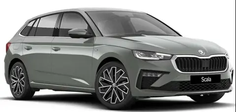 Annonce SKODA SCALA Essence 2024 d'occasion 