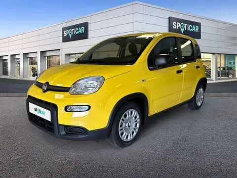 Used FIAT PANDA Petrol 2024 Ad 