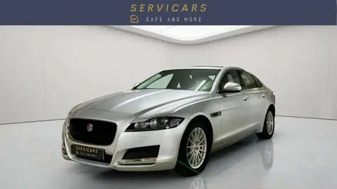 Used JAGUAR XF Diesel 2019 Ad 