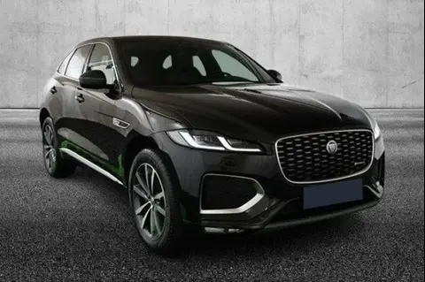 Used JAGUAR F-PACE Hybrid 2023 Ad 