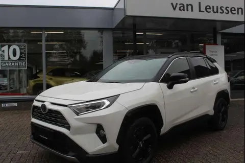 Used TOYOTA RAV4 Hybrid 2019 Ad 