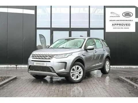 Used LAND ROVER DISCOVERY Diesel 2020 Ad Belgium