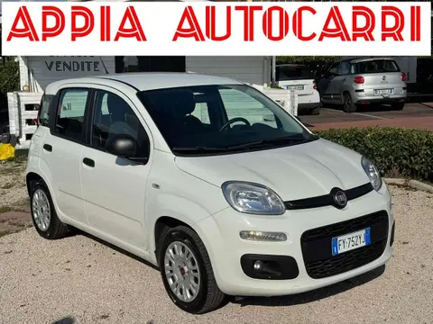 Annonce FIAT PANDA Essence 2019 d'occasion 