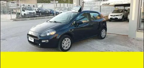 Annonce FIAT PUNTO Essence 2016 d'occasion 