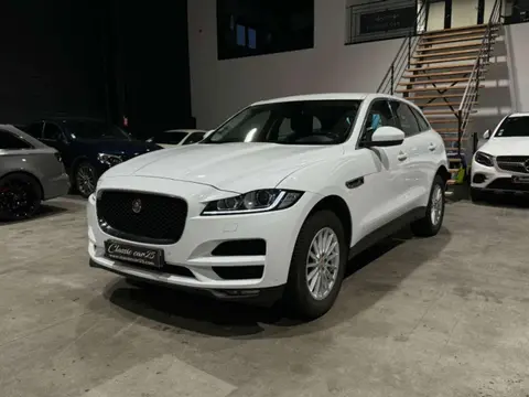 Annonce JAGUAR F-PACE Diesel 2016 d'occasion 