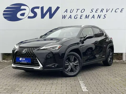 Used LEXUS UX Hybrid 2020 Ad 