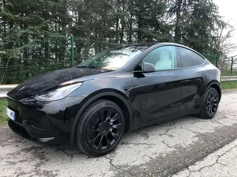 Used TESLA MODEL Y Electric 2023 Ad 