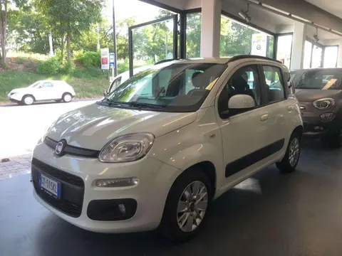 Used FIAT PANDA Petrol 2018 Ad 