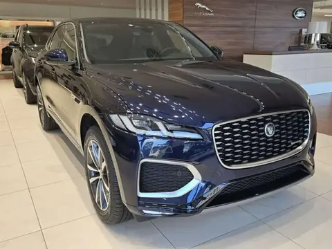 Annonce JAGUAR F-PACE Hybride 2024 d'occasion 