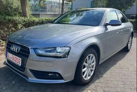 Used AUDI A4 Diesel 2015 Ad 