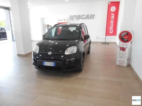 Used FIAT PANDA Hybrid 2021 Ad 