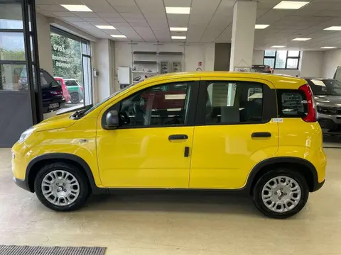 Used FIAT PANDA Petrol 2024 Ad 