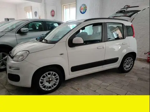 Annonce FIAT PANDA Diesel 2015 d'occasion 