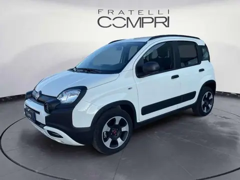 Used FIAT PANDA Hybrid 2020 Ad 