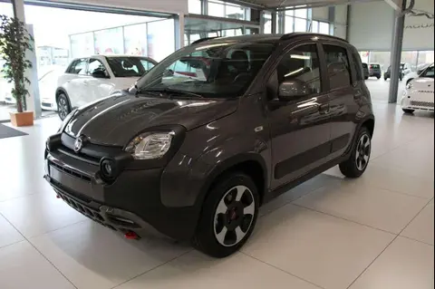 Used FIAT PANDA Hybrid 2024 Ad 