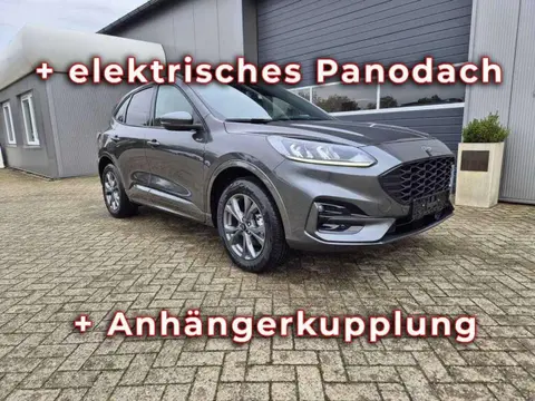 Annonce FORD KUGA Hybride 2024 d'occasion 