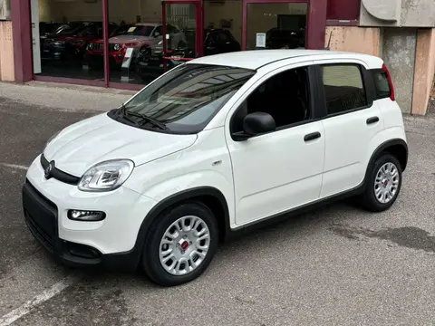 Used FIAT PANDA Hybrid 2024 Ad 