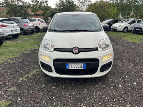 Annonce FIAT PANDA Essence 2019 d'occasion 