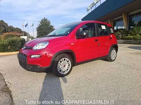 Annonce FIAT PANDA Hybride 2024 d'occasion 