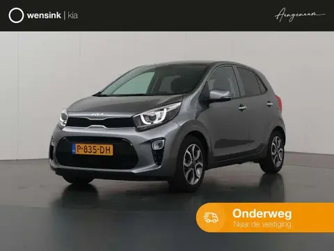 Used KIA PICANTO Petrol 2022 Ad 