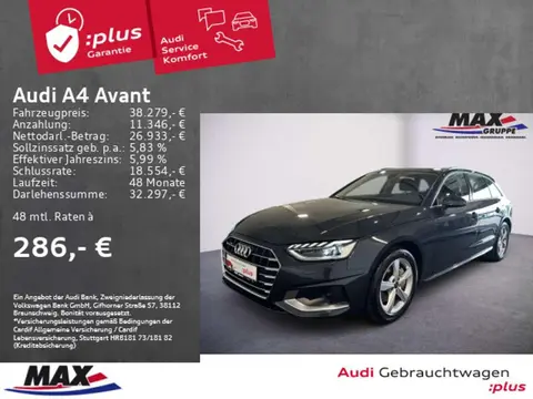 Annonce AUDI A4 Diesel 2022 d'occasion 