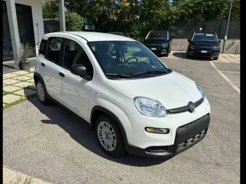 Annonce FIAT PANDA Hybride 2024 d'occasion 