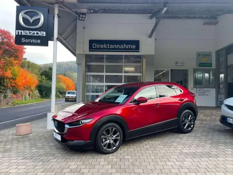 Annonce MAZDA CX-30 Essence 2020 d'occasion 