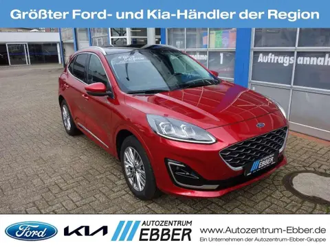 Annonce FORD KUGA Hybride 2023 d'occasion 