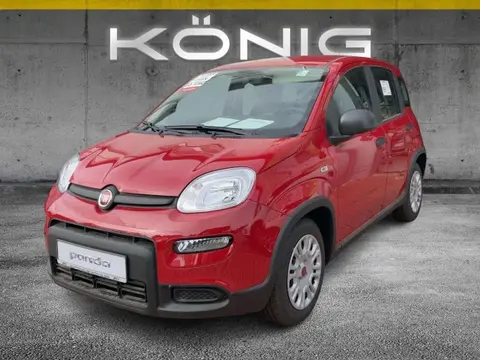 Annonce FIAT PANDA Essence 2024 d'occasion 