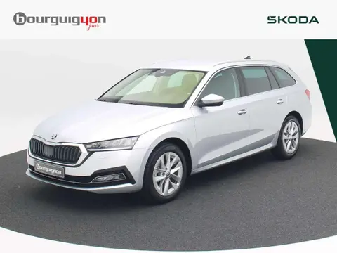 Annonce SKODA OCTAVIA Essence 2024 d'occasion 