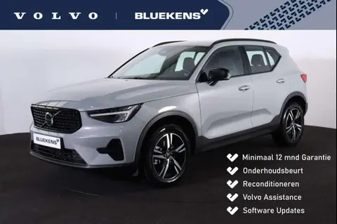 Annonce VOLVO XC40 Essence 2024 d'occasion 