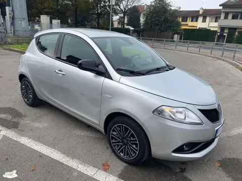 Used LANCIA YPSILON Petrol 2018 Ad 