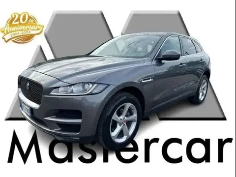 Used JAGUAR F-PACE Diesel 2019 Ad 