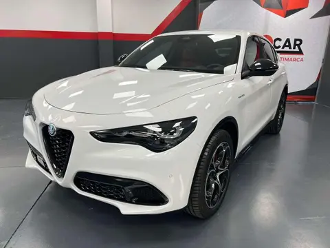 Used ALFA ROMEO STELVIO Diesel 2024 Ad 