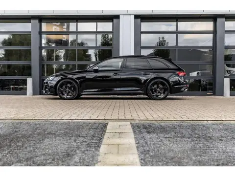 Annonce AUDI RS4 Essence 2024 d'occasion Belgique