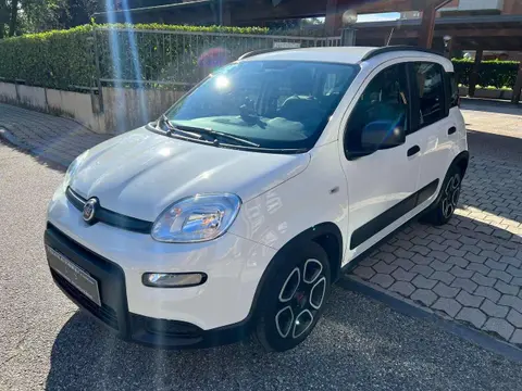 Used FIAT PANDA Hybrid 2022 Ad 