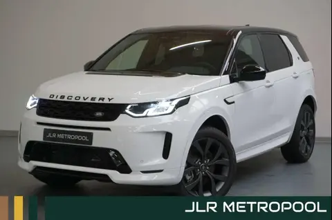 Used LAND ROVER DISCOVERY Hybrid 2024 Ad Belgium