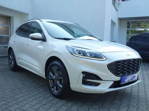 Used FORD KUGA Diesel 2021 Ad 