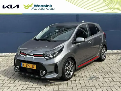 Annonce KIA PICANTO Essence 2021 d'occasion 