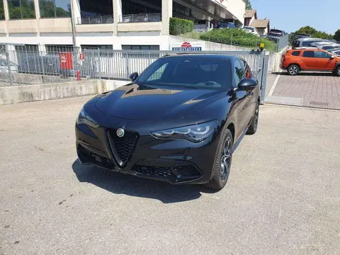 Used ALFA ROMEO STELVIO Diesel 2024 Ad 