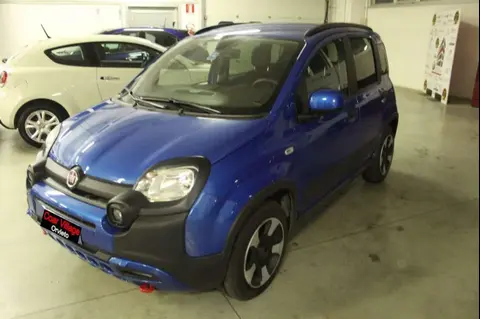 Annonce FIAT PANDA Hybride 2024 d'occasion 