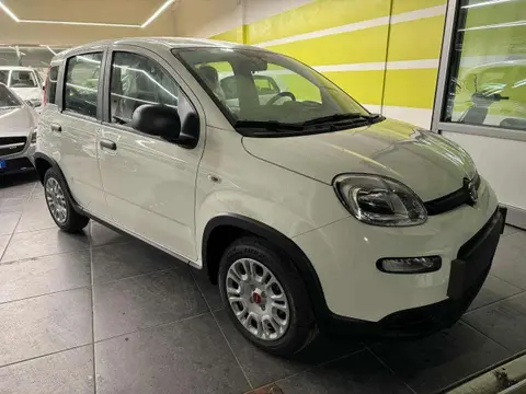 Used FIAT PANDA LPG 2024 Ad 