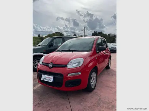 Annonce FIAT PANDA Diesel 2016 d'occasion 