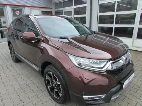 Annonce HONDA CR-V Hybride 2020 d'occasion 