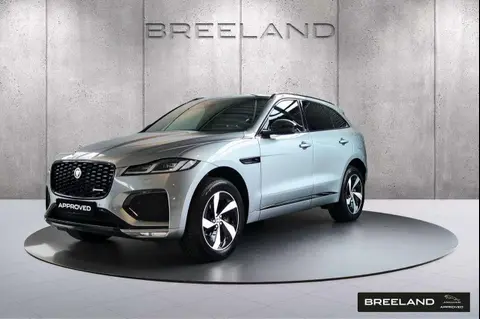 Annonce JAGUAR F-PACE Hybride 2023 d'occasion 