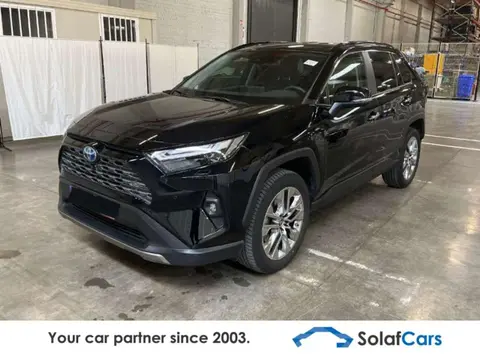 Used TOYOTA RAV4 Hybrid 2022 Ad 